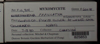 Image Associated With the Occurence